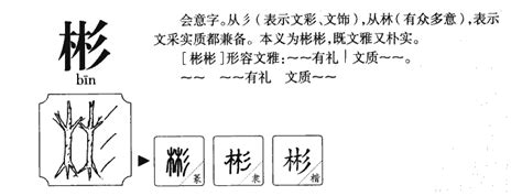 彬五行|「彬康熙字典笔画」彬字五行属什么,彬字起名的寓意含义